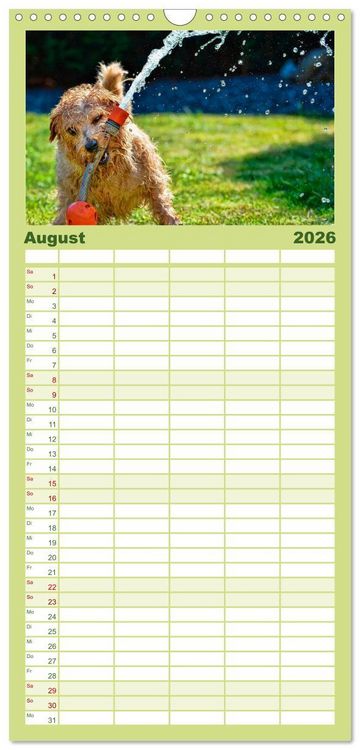 Produktbild: Familienplaner 2026 - Lustig und verr&uuml;ckt - der ganz andere Tierkalender mit 5 Spalten (Wandkalender, 21 x 45 cm) CALVENDO