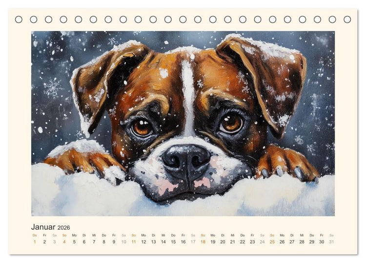 Produktbild: Bunte Boxer (Tischkalender 2026 DIN A5 quer), CALVENDO Monatskalender