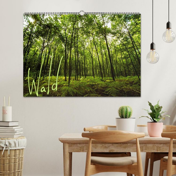 Produktbild: Wald (Wandkalender 2026 DIN A2 quer), CALVENDO Monatskalender