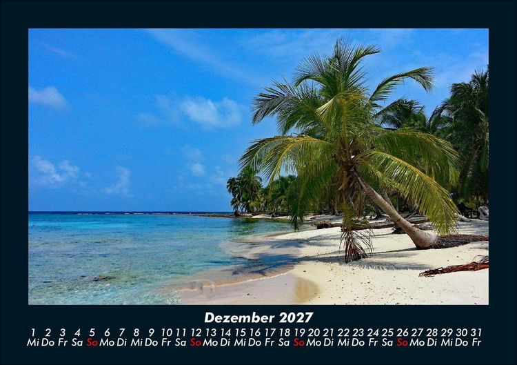 Produktbild: Palmentraum 2027 Fotokalender DIN A5