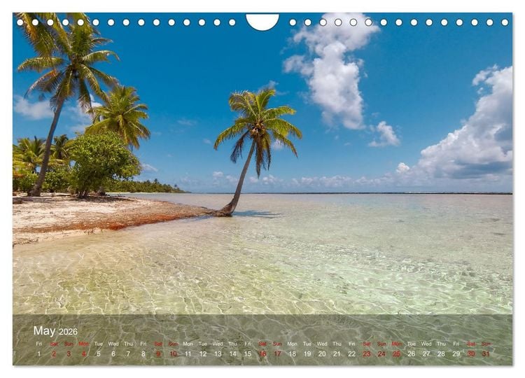 Produktbild: Dream Beaches worldwide (Wall Calendar 2026 DIN A4 landscape), CALVENDO 12 Month Wall Calendar