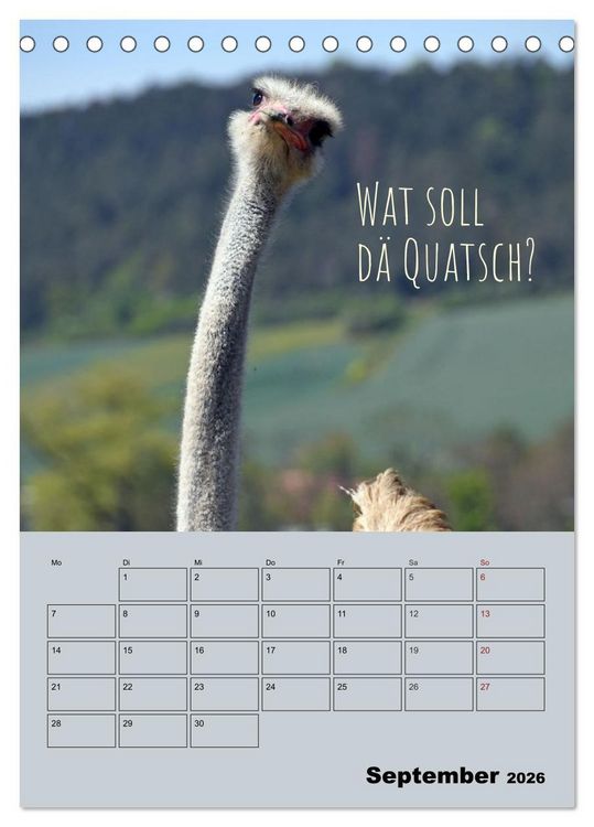 Produktbild: K&ouml;lsches Grundgesetz (Tischkalender 2026 DIN A5 hoch), CALVENDO Monatskalender