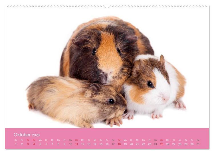Produktbild: S&uuml;&szlig;e Tier-Babys! (hochwertiger Premium Wandkalender 2026 DIN A2 quer), Kunstdruck in Hochglanz