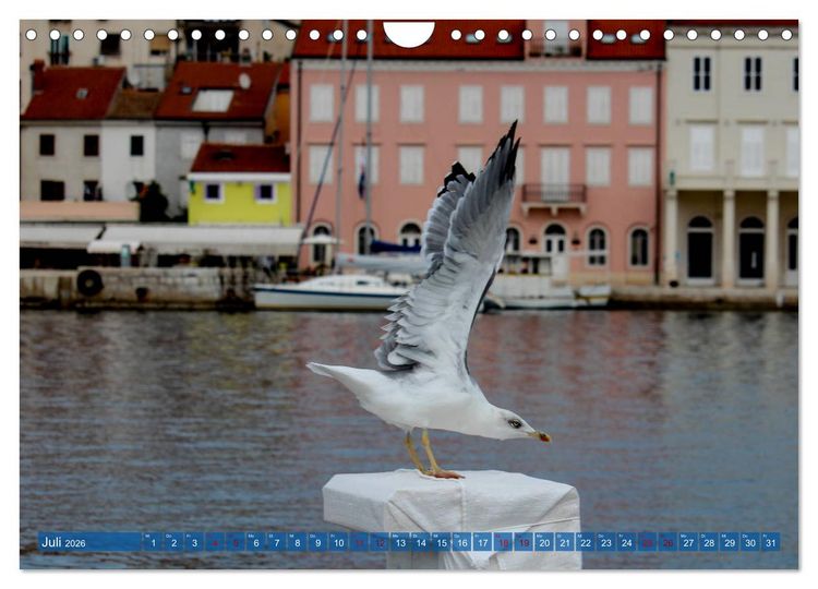 Produktbild: Inselwelt Cres & Losinj (Wandkalender 2026 DIN A4 quer), CALVENDO Monatskalender