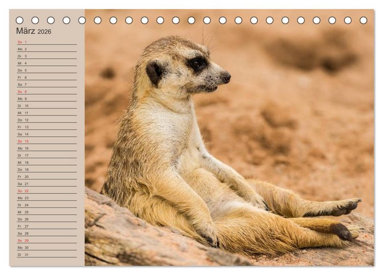 Produktbild: Erdm&auml;nnchen (Tischkalender 2026 DIN A5 quer), CALVENDO Monatskalender