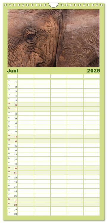 Produktbild: Familienplaner 2026 - Tierische Gl&uuml;cksmomente mit 5 Spalten (Wandkalender, 21 x 45 cm) CALVENDO