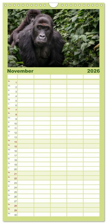 Produktbild: Familienplaner 2026 - KONGO - das dunkle Herz Afrikas mit 5 Spalten (Wandkalender, 21 x 45 cm) CALVENDO