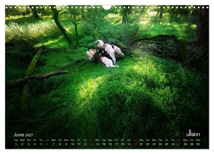 Produktbild: Mothers of earth- life can be so voluptuous (Wall Calendar 2027 DIN A3 landscape), CALVENDO 12 Month Wall Calendar