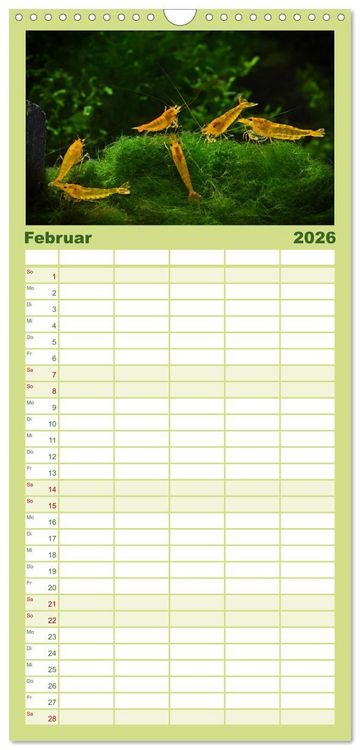 Produktbild: Familienplaner 2026 - Dwarf Shrimps mit 5 Spalten (Wandkalender, 21 x 45 cm) CALVENDO