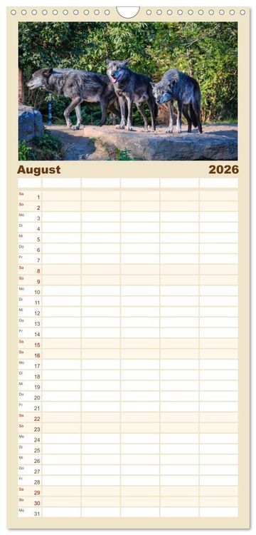 Produktbild: Familienplaner 2026 - W&ouml;lfe - sie sind wieder da mit 5 Spalten (Wandkalender, 21 x 45 cm) CALVENDO