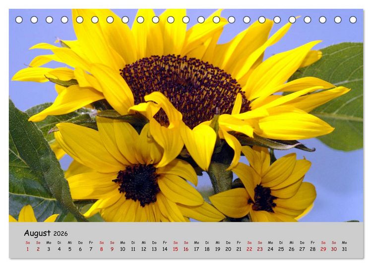 Produktbild: Blumen &uuml;berall, zur Freude Menschen (Tischkalender 2026 DIN A5 quer), CALVENDO Monatskalender