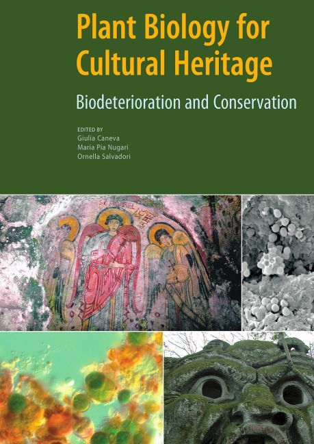 Produktbild: Caneva, .: Plant Biology for Cultural Heritage - Biodeterior