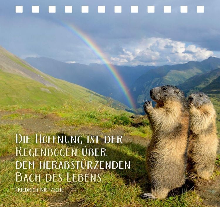 Produktbild: Jeder Tag ist voller kleiner Wunder