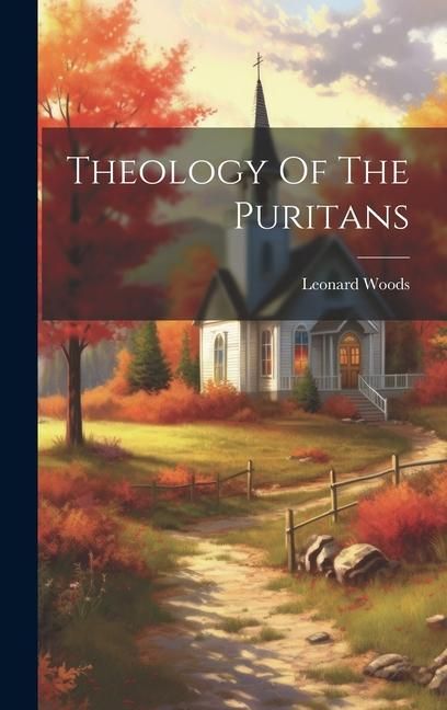 Produktbild: Theology Of The Puritans