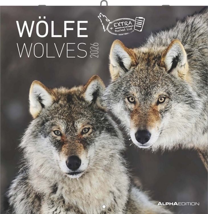 Bild vom Artikel Wölfe 2026 - Broschürenkalender 30x30 cm (30x60 geöffnet) - Kalender mit Platz für Notizen - Wolves - Bildkalender - Wandplaner - Alpha Edition vom Autor Alpha Edition