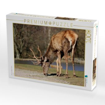 Produktbild: CALVENDO Puzzle K&ouml;nige des Waldes - Hirsche | 1000 Teile Lege-Gr&ouml;&szlig;e 64x48cm Foto-Puzzle f&uuml;r gl&uuml;ckliche Stunden