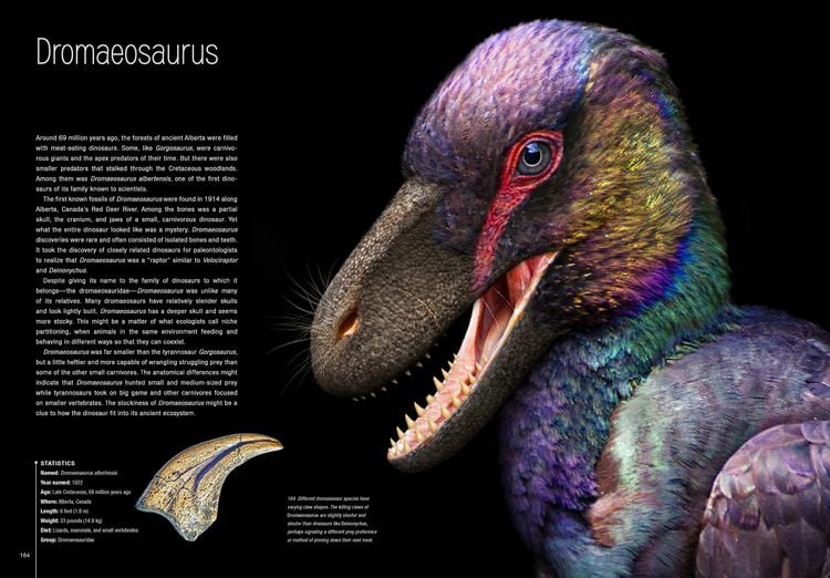 Produktbild: Dinosaurs