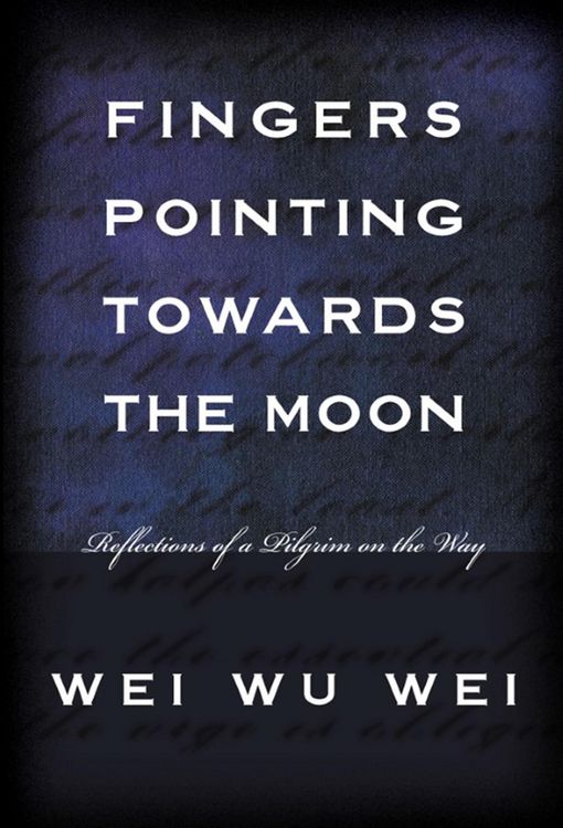 Produktbild: Fingers Pointing Towards the Moon