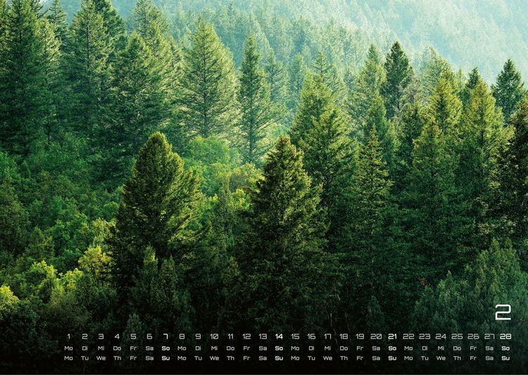 Produktbild: Wald - Erholung f&uuml;r Mensch und Tier - 2027 - Kalender DIN A3