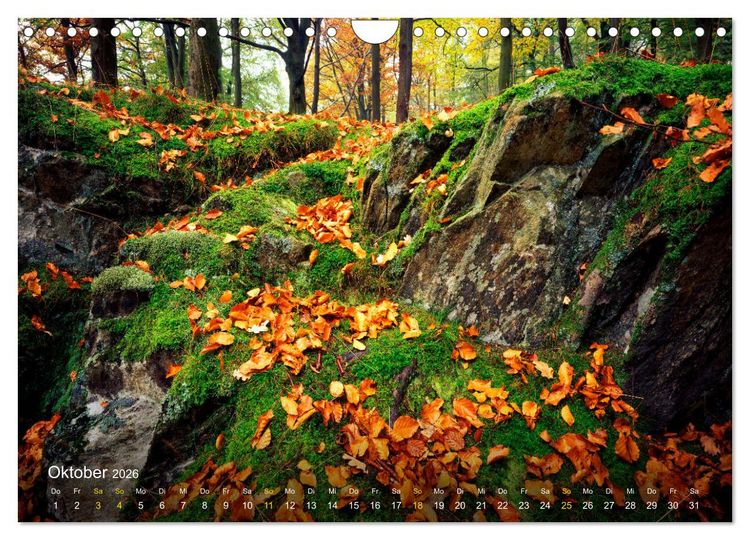 Produktbild: Traum Momente (Wandkalender 2026 DIN A4 quer), CALVENDO Monatskalender