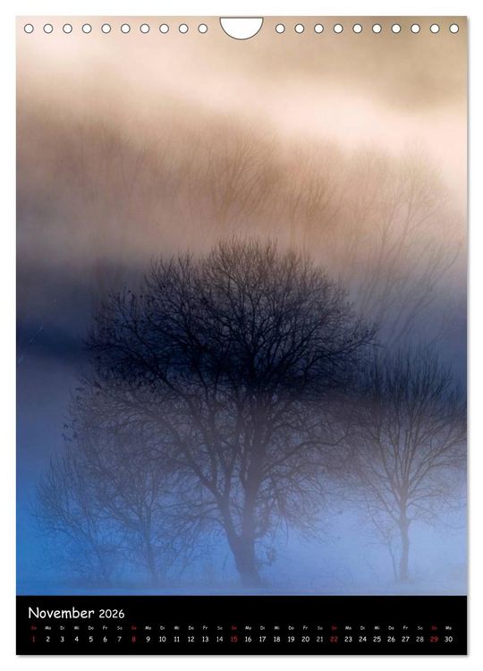 Produktbild: Visuelle Meditation - Gl&uuml;hende Wipfel (Wandkalender 2026 DIN A4 hoch), CALVENDO Monatskalender