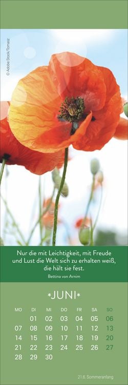 Produktbild: Gute Gedanken Lesezeichen & Kalender 2027