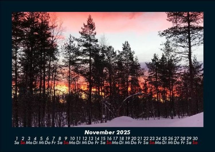 Produktbild: B&auml;ume 2025 Fotokalender DIN A5
