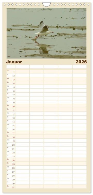 Produktbild: Familienplaner 2026 - An der Nordsee mit 5 Spalten (Wandkalender, 21 x 45 cm) CALVENDO