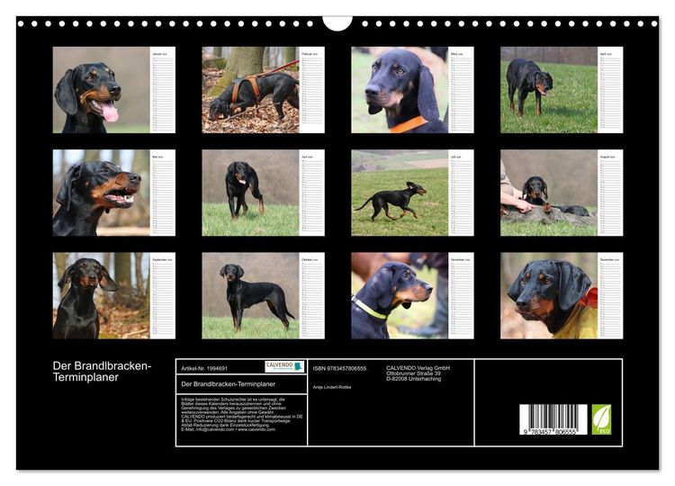 Produktbild: Der Brandlbracken-Terminplaner (Wandkalender 2026 DIN A3 quer), CALVENDO Monatskalender
