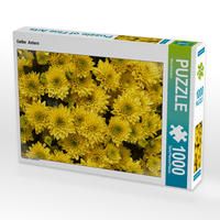 Produktbild: CALVENDO Puzzle Gelbe Astern | 1000 Teile Lege-Gr&ouml;&szlig;e 64x48cm Foto-Puzzle f&uuml;r gl&uuml;ckliche Stunden