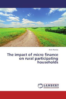 Produktbild: Kundu, A: Impact of micro finance on rural participating hou