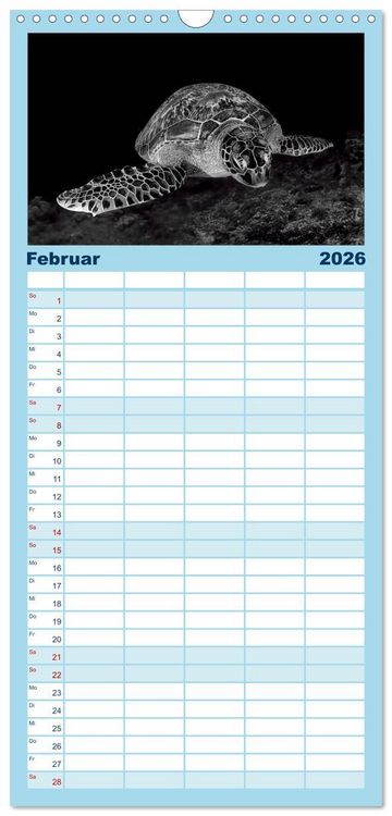Produktbild: Familienplaner 2026 - Schildkr&ouml;ten des Ozeans mit 5 Spalten (Wandkalender, 21 x 45 cm) CALVENDO