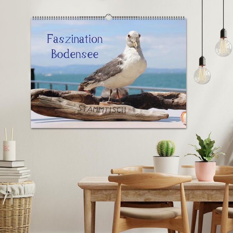 Produktbild: Faszination Bodensee (Wandkalender 2026 DIN A2 quer), CALVENDO Monatskalender