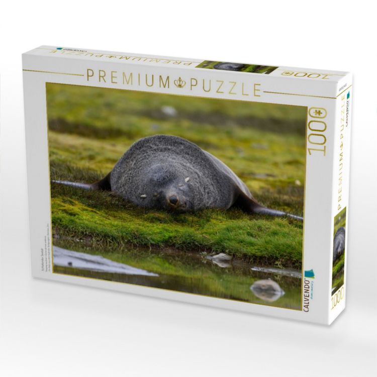 Produktbild: CALVENDO Puzzle Schlafender Seeb&auml;r | 1000 Teile Lege-Gr&ouml;&szlig;e 64x48cm Foto-Puzzle f&uuml;r gl&uuml;ckliche Stunden