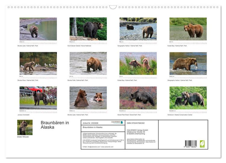 Produktbild: Braunb&auml;ren in Alaska (Wandkalender 2026 DIN A2 quer), CALVENDO Monatskalender