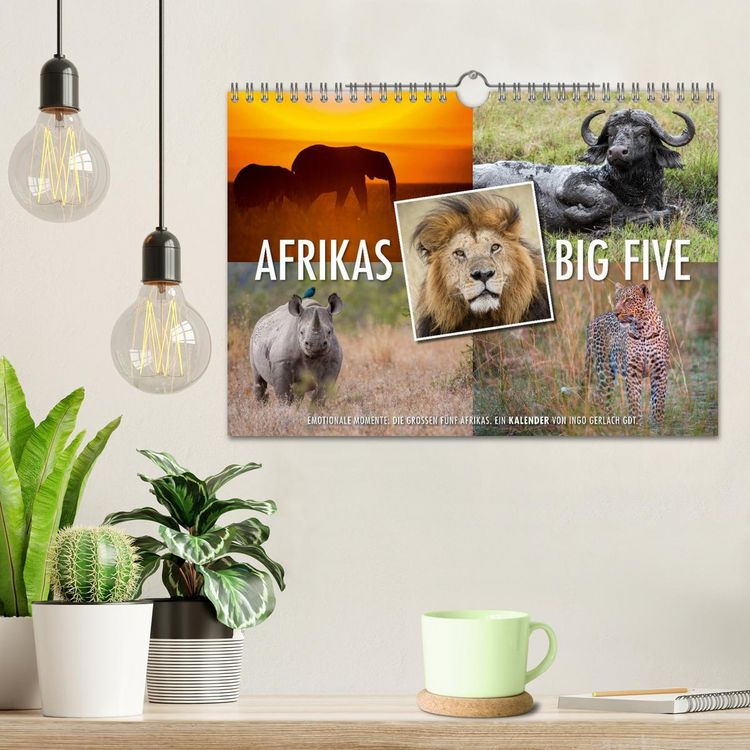 Produktbild: Emotionale Momente: Afrikas Big Five (Wandkalender 2026 DIN A4 quer), CALVENDO Monatskalender