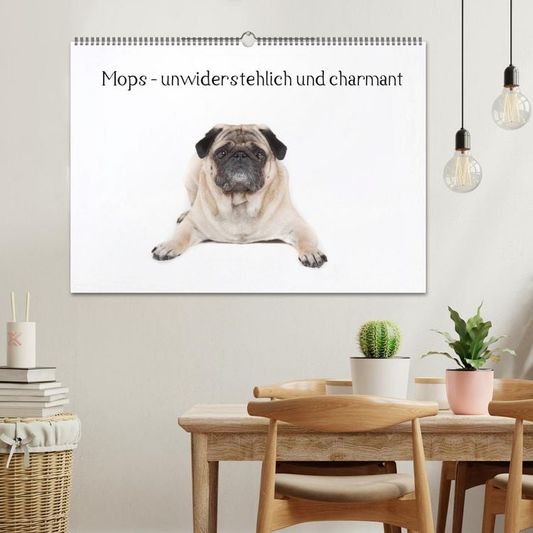 Produktbild: Mops - unwiderstehlich und charmant (Wandkalender 2026 DIN A2 quer), CALVENDO Monatskalender
