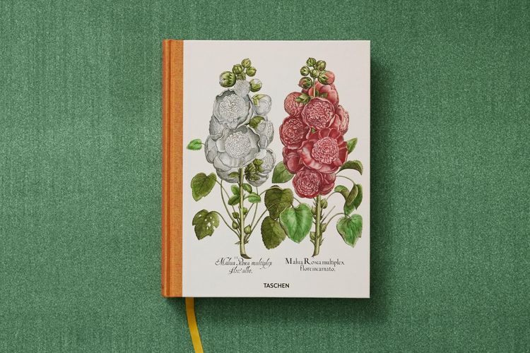 Produktbild: Basilius Besler. The Garden at Eichst&auml;tt