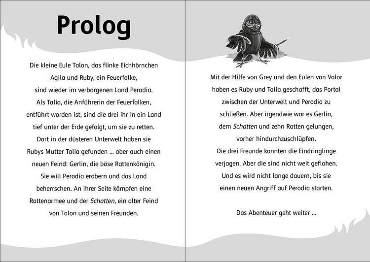Produktbild: Der letzte Feuerfalke und das magische Ei (Band 13)