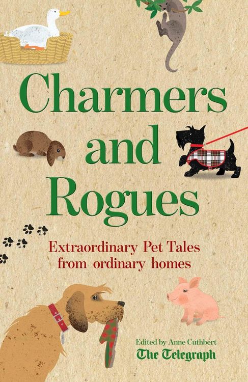 Produktbild: Charmers and Rogues
