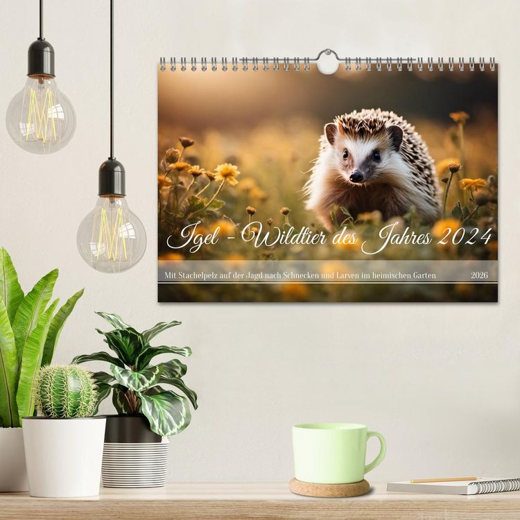 Produktbild: Igel - Wildtier des Jahres 2024 (Wandkalender 2026 DIN A4 quer), CALVENDO Monatskalender