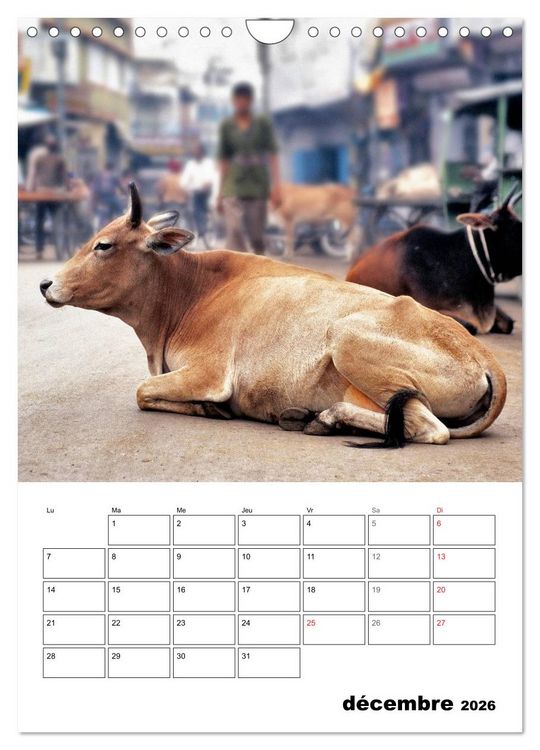 Produktbild: L'Inde du Nord (Calendrier mural 2026 DIN A4 horizontal), CALVENDO calendrier mensuel