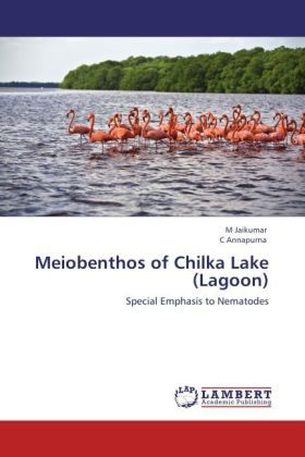 Produktbild: Jaikumar, M: Meiobenthos of Chilka Lake (Lagoon)