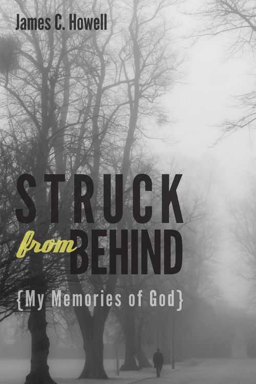 Produktbild: Struck from Behind