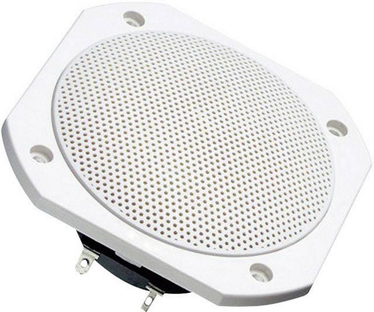 Produktbild: Visaton FRS 10 WP - 8 Ohm 4 Zoll 10 cm Breitb&auml;nder 25 W 8 Ω Wei&szlig; Saunalautsprecher, Einbaulautsprecher, Seewasserbest&auml;ndig