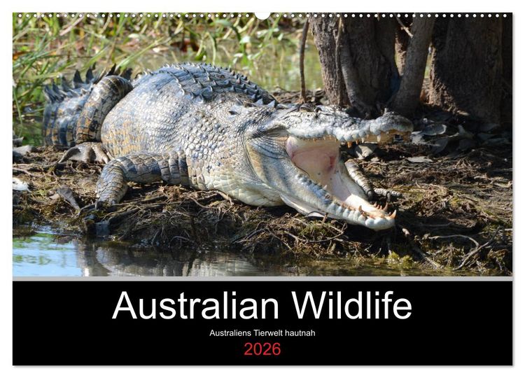 Produktbild: Australian Wildlife (Wandkalender 2026 DIN A2 quer), CALVENDO Monatskalender