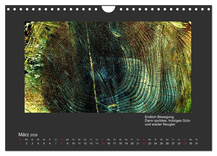 Produktbild: MAGIE HOLZ 2026 (Wandkalender 2026 DIN A4 quer), CALVENDO Monatskalender