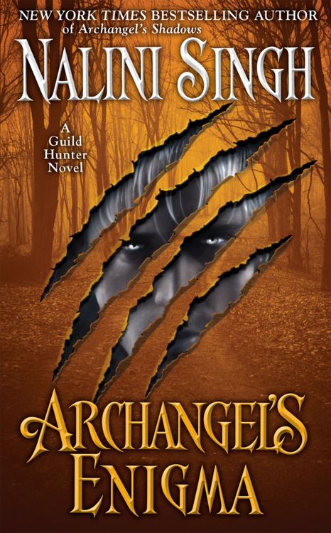 Produktbild: Archangel's Enigma