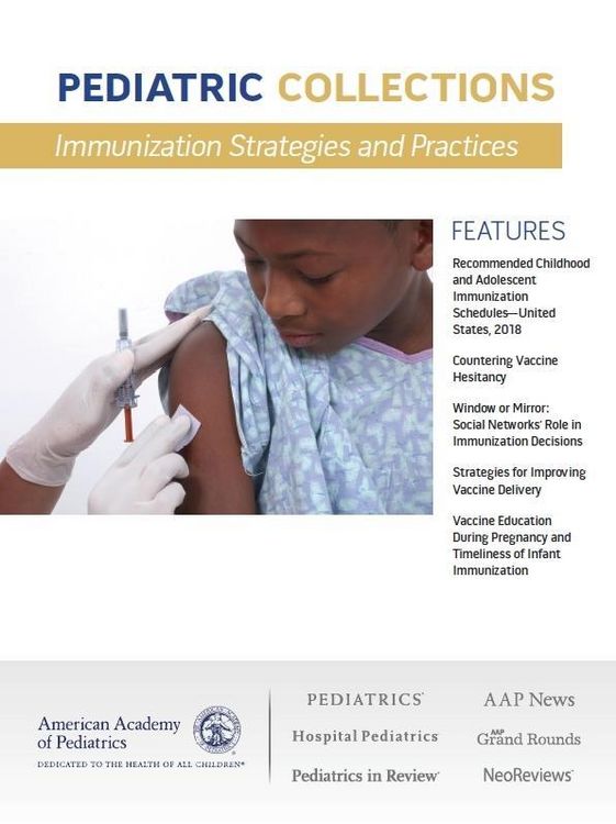 Produktbild: Immunization Strategies and Practices