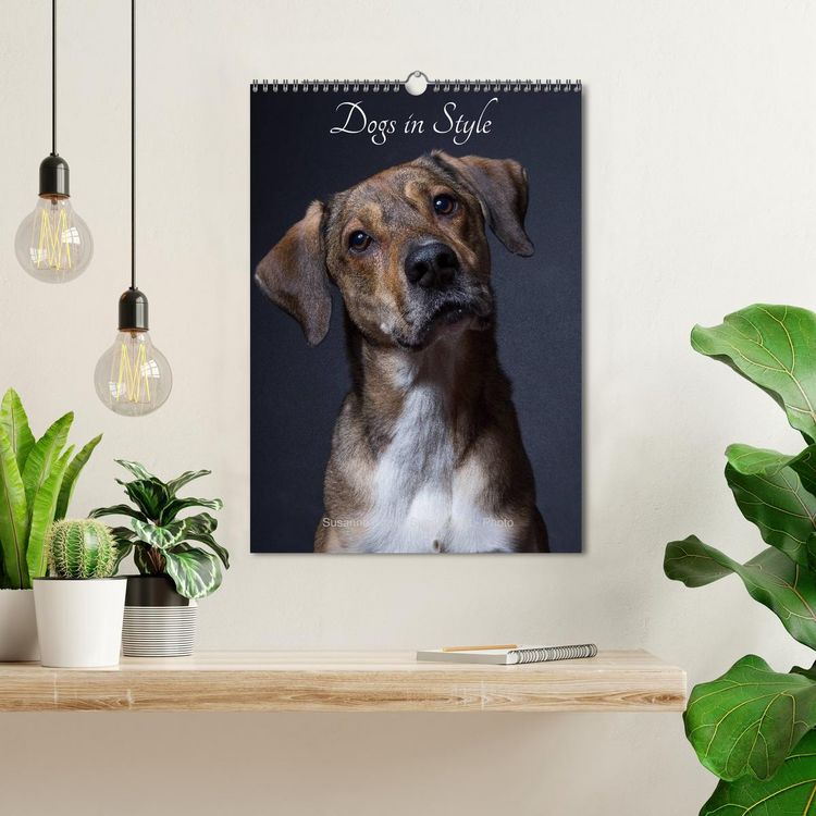 Produktbild: Dogs in Style (Wall Calendar 2026 DIN A3 portrait), CALVENDO 12 Month Wall Calendar